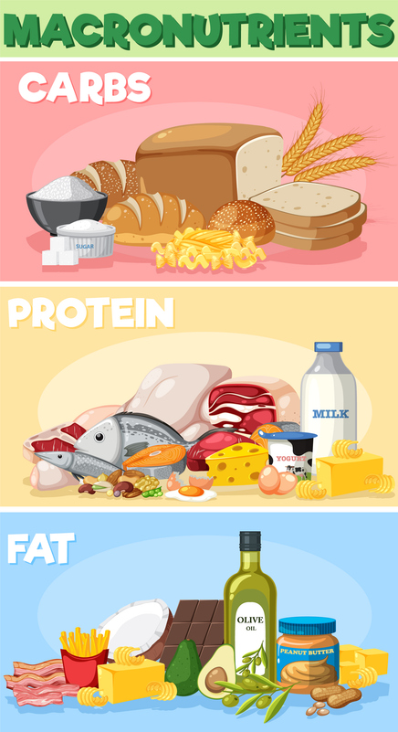 Macronutrients diagram with food ingredients