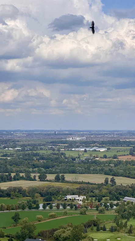 Niagara Escarpment a view of luton and puregym luton from blows downs